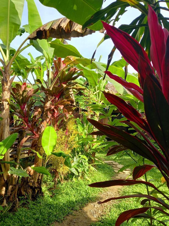Banana Grove El Nido Hotel Exterior foto
