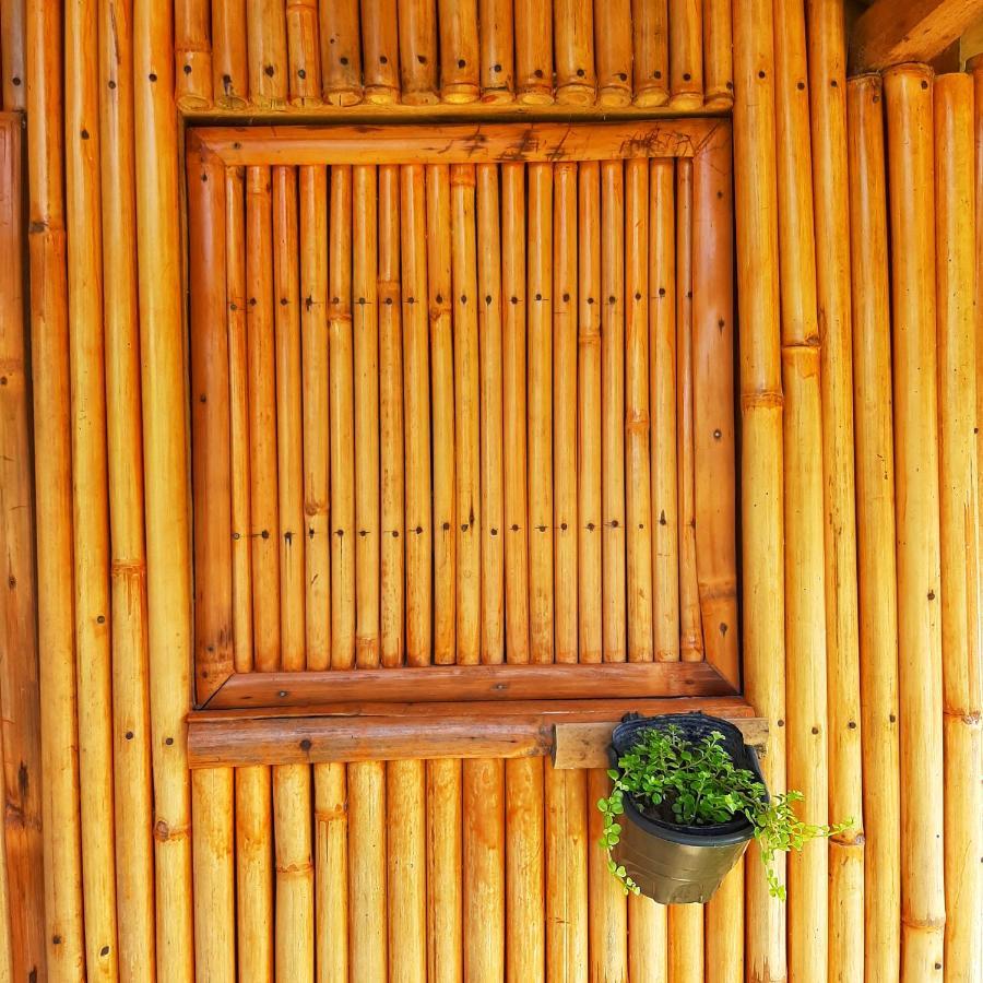 Banana Grove El Nido Hotel Exterior foto