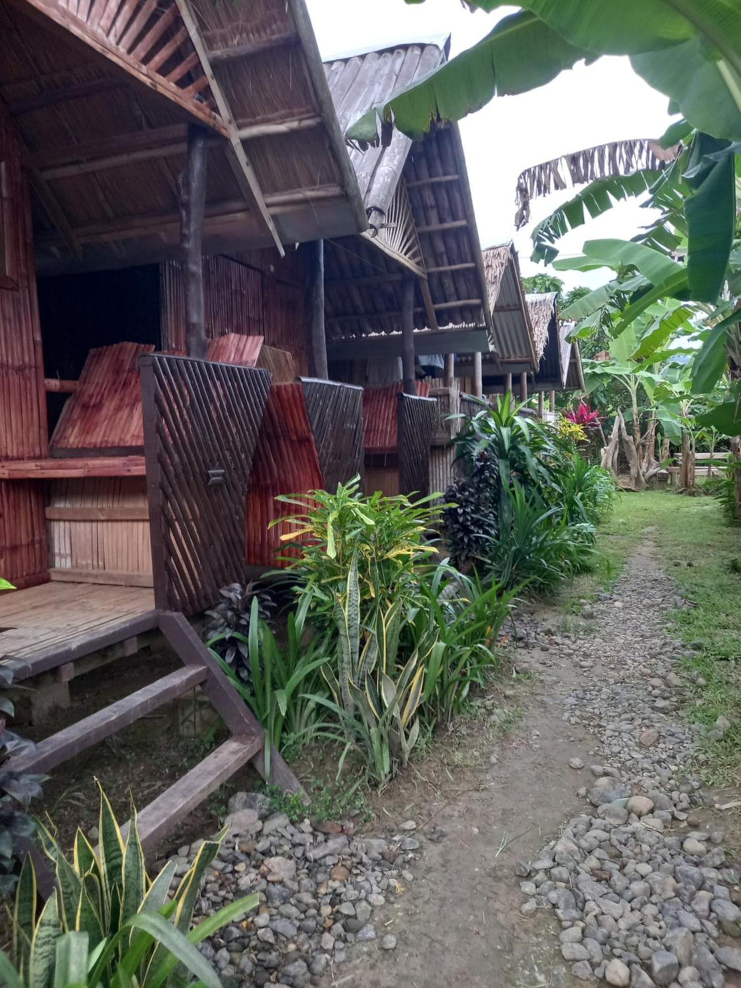 Banana Grove El Nido Hotel Quarto foto